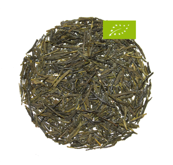 Japan Sencha Uji Bio, Grüner Tee, Ernte 2024, Präfektur Kogashima, Leuchtend-helle Tasse, hocharomatisch