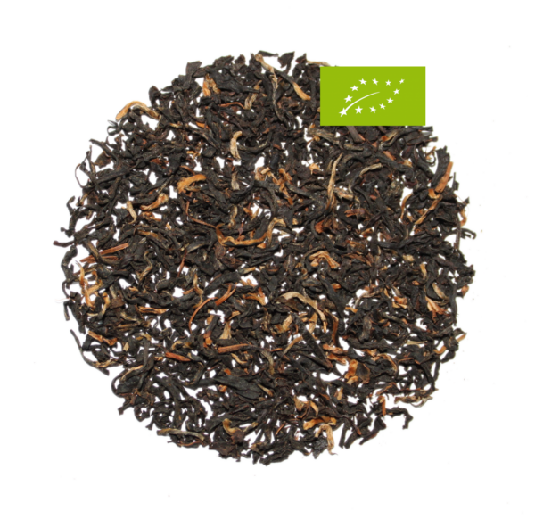 Assam Second Flush, Schwarztee, Bio, SFTGFOP1, Ernte 2024, Geschmack: würzig, malzig mit Honigton, Tonganagaon Garten